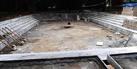 Ugly swamp will be a pond