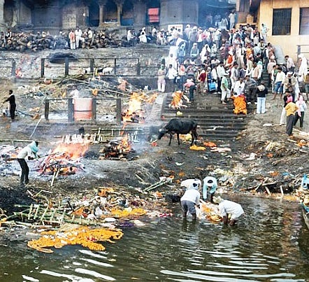 Quiet mourns the Ganga, choked with 350 tonnes of partially burnt corpses
