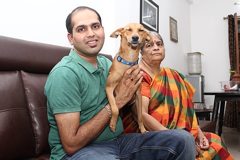 Chennai dog who survived being tossed off roof gets officially adopted