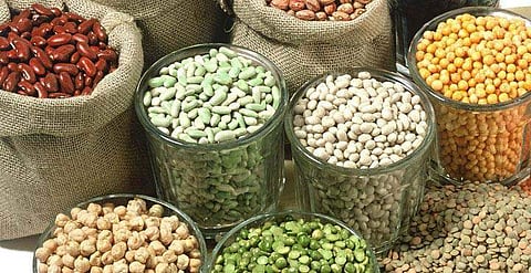 Indians' consumption of pulses, cereals declines by 5% as spending patterns shift: SBI report