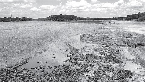 Ryots rally for paddy cultivation relaunch in Aranmula puncha 