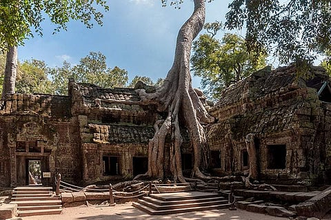 Ta Prohm temple, Cambodia. (Photo courtesy: CEphoto, Uwe Aranas @ wikimedia.org)