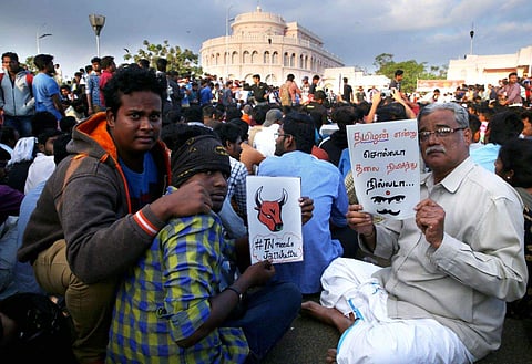 Protests in favour of Jallikattu continue in Chennai. A protester holding placard that reads 'Say you're a proud Tamilian and hold your head up high'. (EPS | Sunish P Surendran)