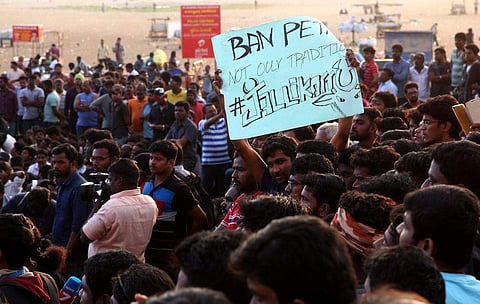 Protesters holding placards that seek a ban on PETA . (EPS)