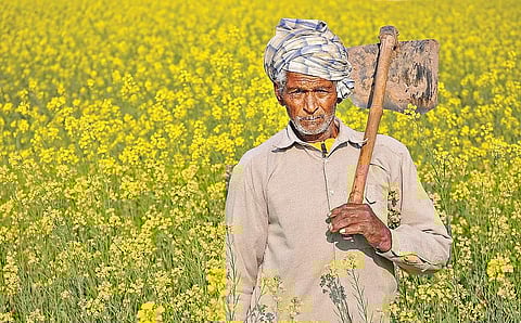 Move to double farmers’ income falls flat