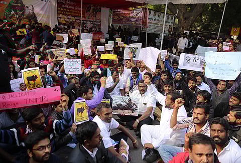 Tamil people participate in a protest to lift the ban on Jallikattu and impose ban on PETA in New Delhi on Friday. | EPS