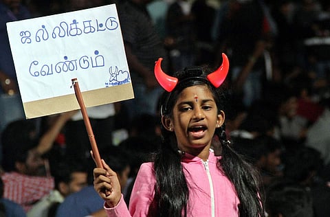 A young girl holds a placard protesting jallikattu ban in Coimbatore's VOC Grounds on the fourth day of protests. (EPS | Prakash Chellamuthu)