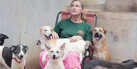 Two sides of the stray dog menace