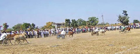 Bullock cart race being held at Nagoba Jatara in Adilabad district on Sunday after a gap of 30 years. (File photo)