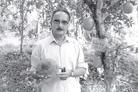 K Aravind in his garden. (File photo)