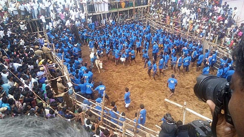 Participants and villagers at the Jallikattu arena at Karungulam village in Tiruchy district on Sunday. | EPS
