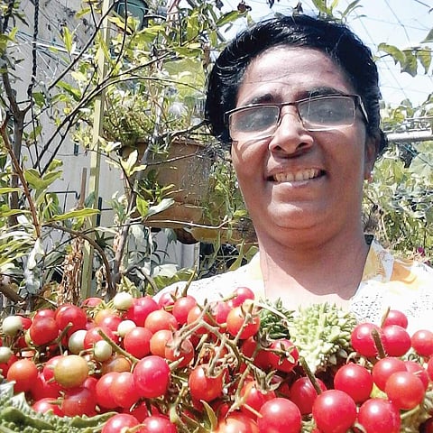 For Jasmine Fernandes, 59, it has been a good 16 years so far, since she took to terrace gardening.