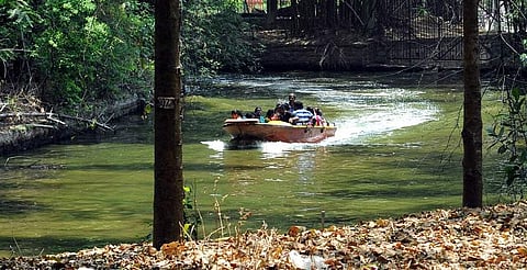 Cubbon Park is one of the places the group hopes to map in entirety, with all the details