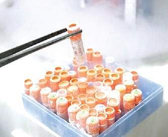 Stem Cell Therapy provides miracle cure for spastic girl