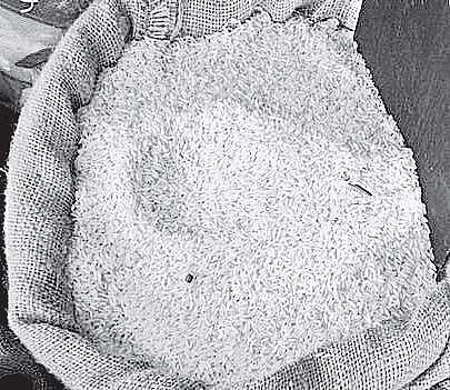 State to procure 1.2L MT of superfine rice from farmers directly