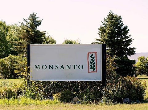 A Monsanto research farm. (File Photo | Reuters)