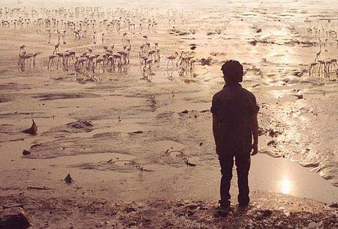 From the poster of Majid Majidi's 'Beyond The Clouds'.