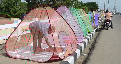 Image used for representation