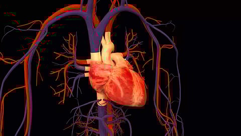 Image used for representational purpose only