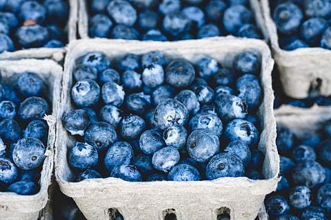 Studies show Blueberries may boost attention in children