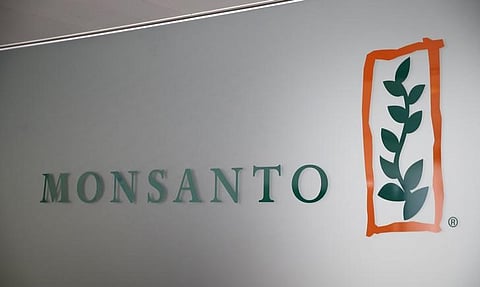 Andhra Pradesh investigates planting of Monsanto's unapproved GM cotton