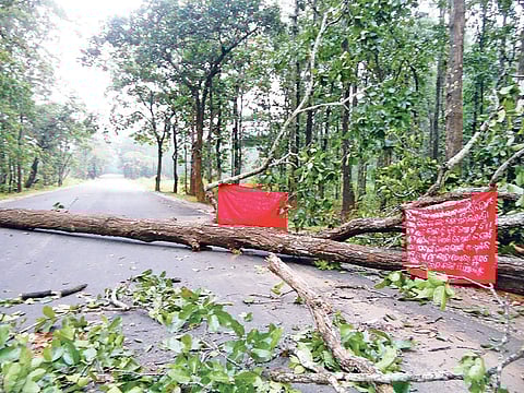 Maoists put up posters in support of bandh on felled trees to block NH-59 in Kandhamal district | Express