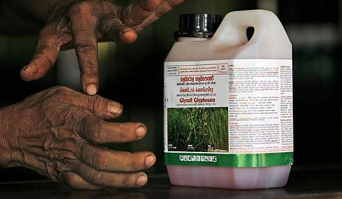 Image for representational purpose only. (File photo | AP)