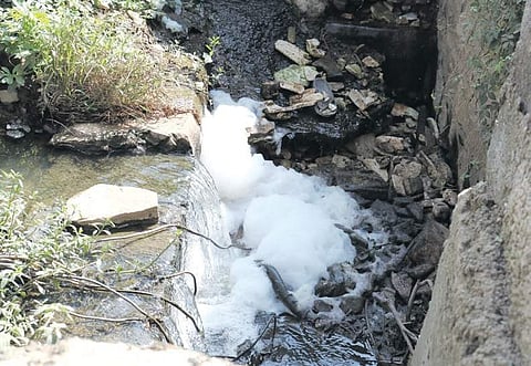 Froth has already started to fill the lake, citizens are worried it will turn into another Bellandur Lake. (Top) Protest by residents to save the lake