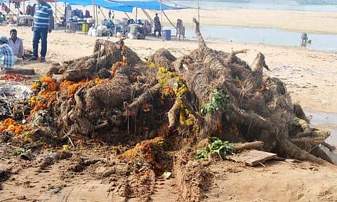 Immersion over, uncleared garbage chokes Silver City