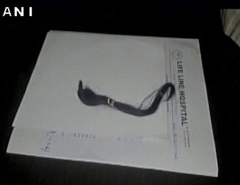 A picture of a cut braid. (ANI Twitter)