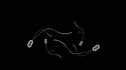 Image used for representational purpose only