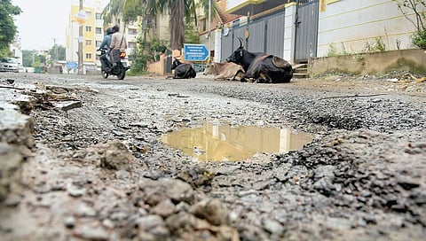 A pothole-ridden road giving a tough time to motorists at Janakiraman Nagar in Perungudi on Friday | Martin Louis