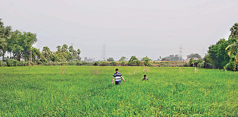 Image used for representational purpose