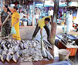 Image used for representational purpose.