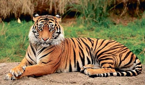 Villagers seek early notification