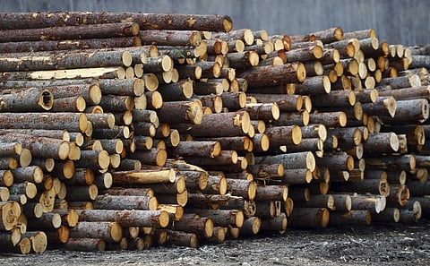 Softwood lumber is stacked at a lot in Madawaska, Ontario. Canada. (File | Associated Press)