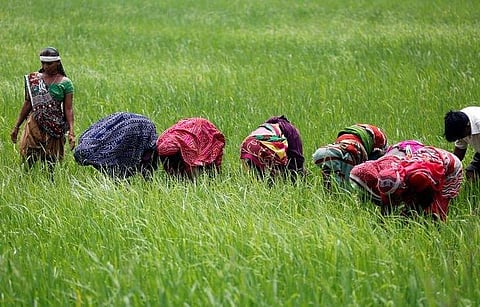 Representational image. (File | reuters)