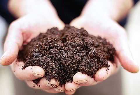 Make soil that smells like the first rain