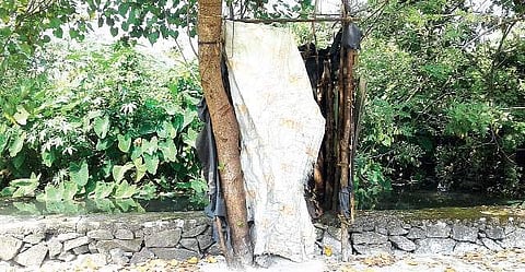 A ramshackle toilet at Thanthonni Thuruthu