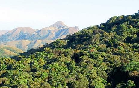The project will bifurcate the Western Ghats in Chikkamagaluru district | Express