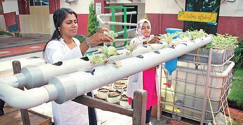 The aquaponics unit at the General Hospital  K Shijith