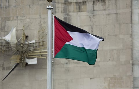 Palestine's flag  used for representation. (Photo | AP)