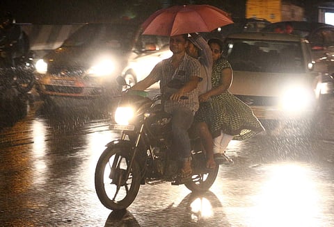 The revival comes after an unusually dry start to November. 