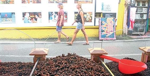 Star aniseed, cloves and black pepper at a spice shop in Jew Town  Melton Antony