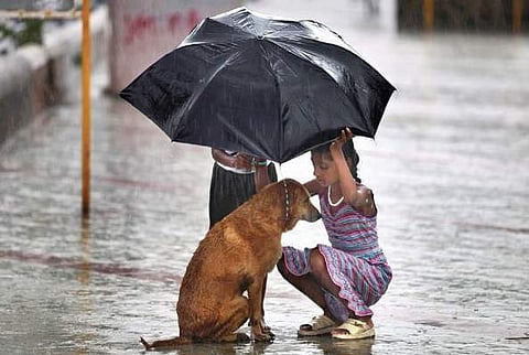 Humanity, yes. morality, no