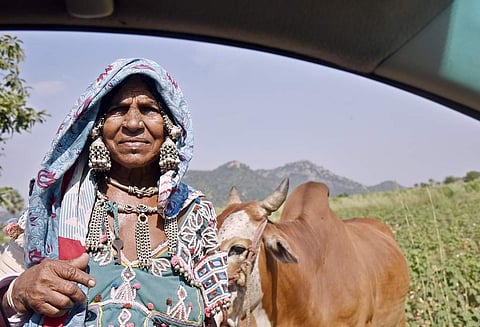 A lambada woman  (Vinay Madapu | EPS)