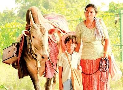 'Mooka Hakki' review: A ‘mute’ film with little life