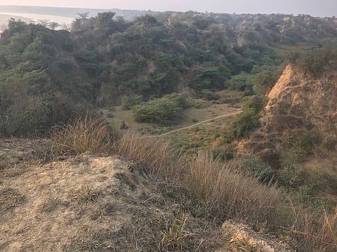 Image used for representational purpose.