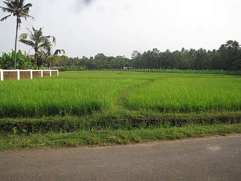 Road trips to cherish, thanks to Kunnukara panchayat