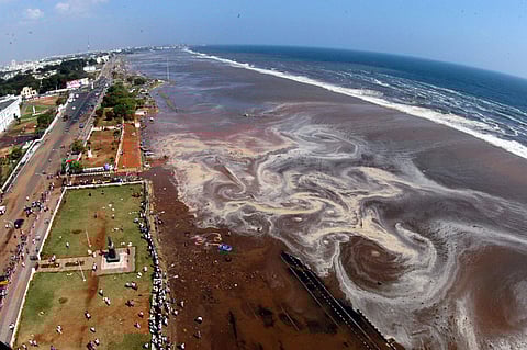 In this December 26, 2004 photo, an aerial view of the Marina beach in Chennai following the massive earthquake in Indonesia triggering tidal waves and flooding parts of coastal India. ( PTI)